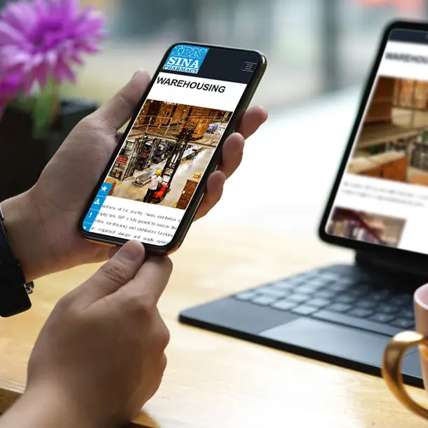 ibnsina Pharmacy webiste view